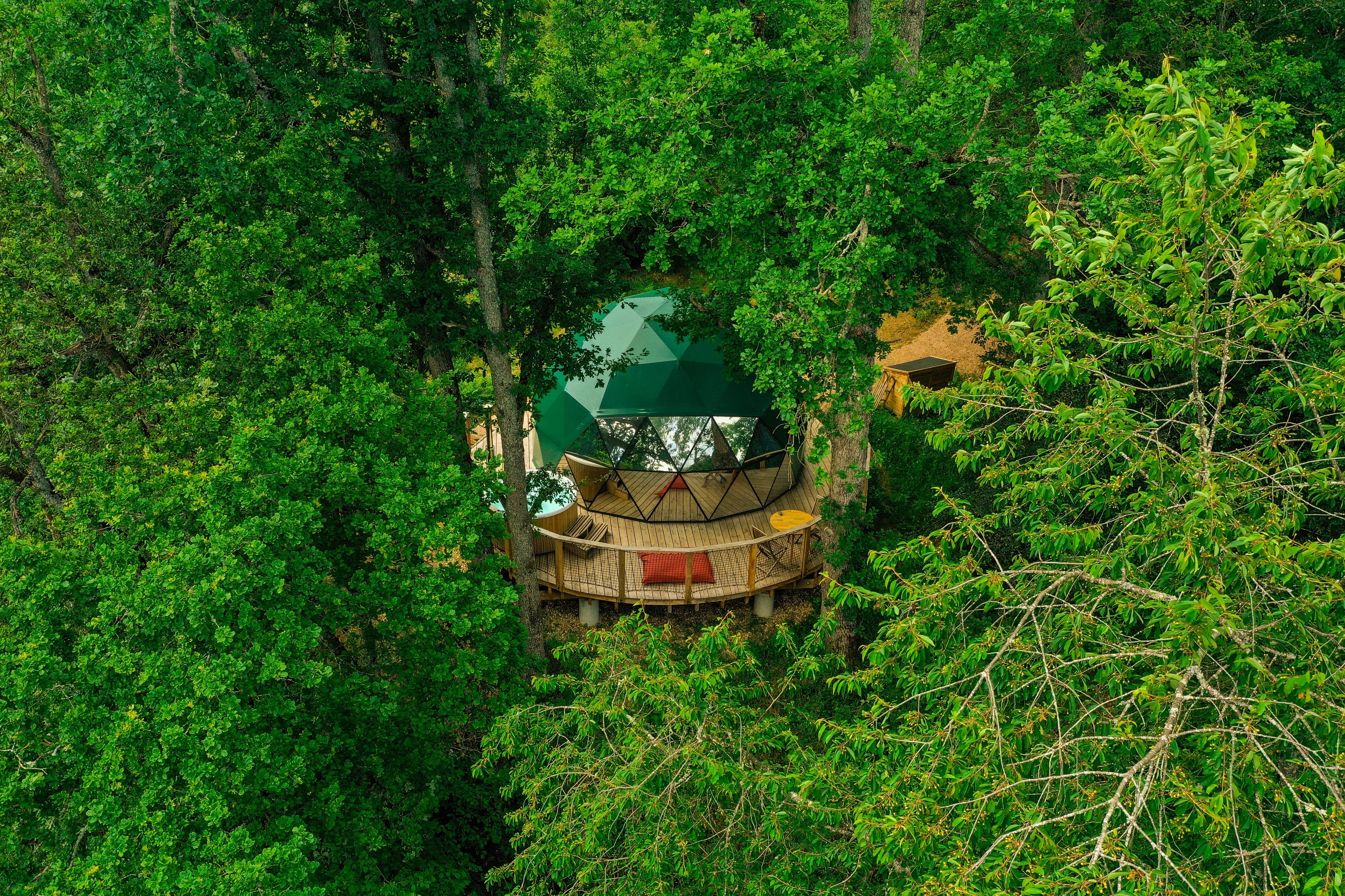 Un dome dans les arbres